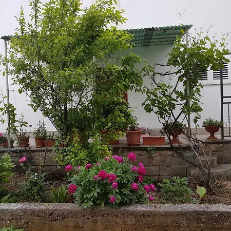 With Parking Space - 12695 Apartment